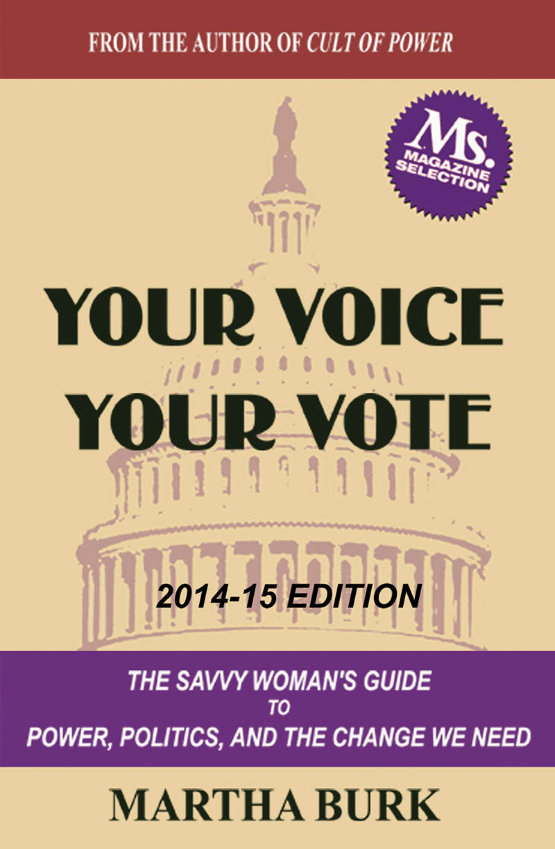 book, Your Voice, Your Vote